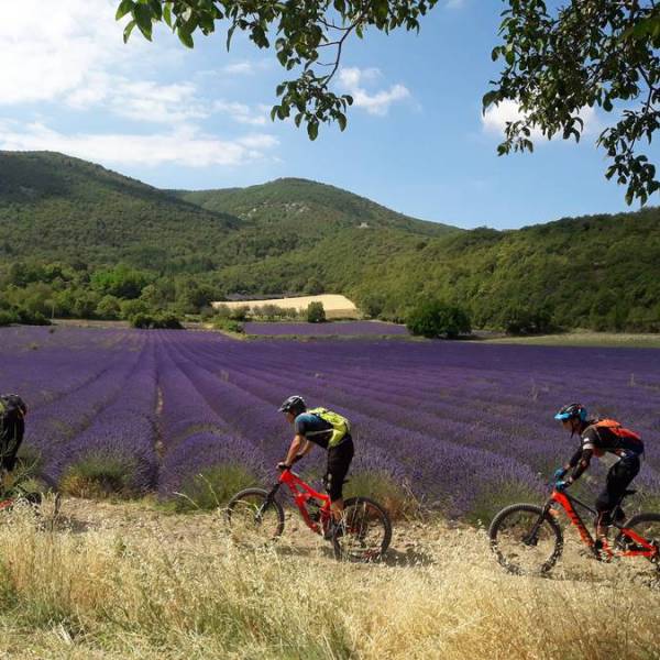 espace vtt Provence Luberon Lure